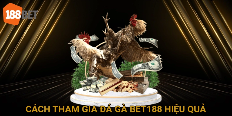 Cách tham gia đá gà BET188 hiệu quả