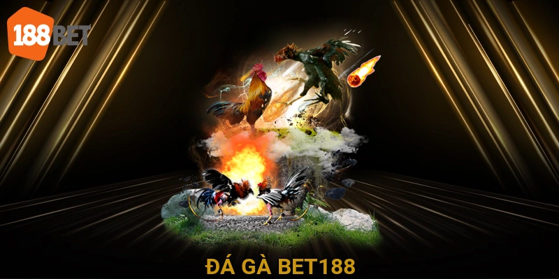 Đá Gà BET188