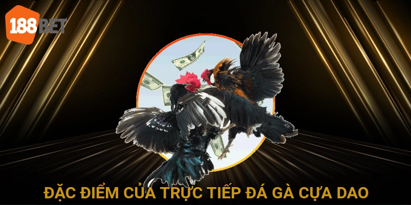 Đặc Điểm và Tính Chất Của Trực Tiếp Đá Gà Cựa Dao