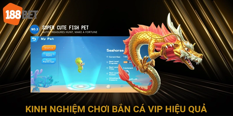Kinh Nghiệm Chơi Bắn Cá VIP Hiệu Quả