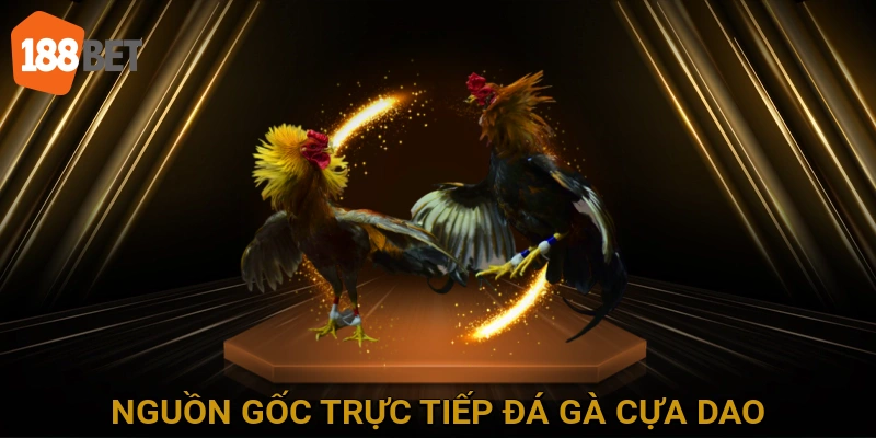 Nguồn Gốc Trực Tiếp Đá Gà Cựa Dao