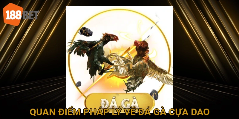 Quan Điểm Pháp Lý về Đá Gà Cựa Dao