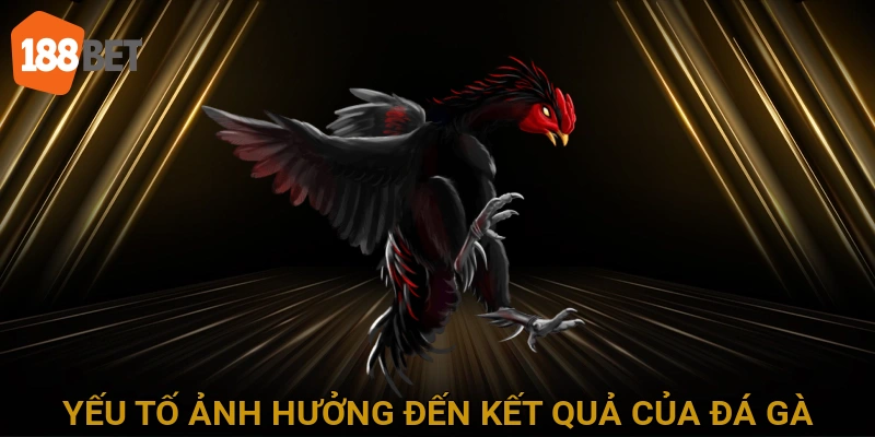 Các yếu tố ảnh hưởng đến kết quả của trận đấu đá gà