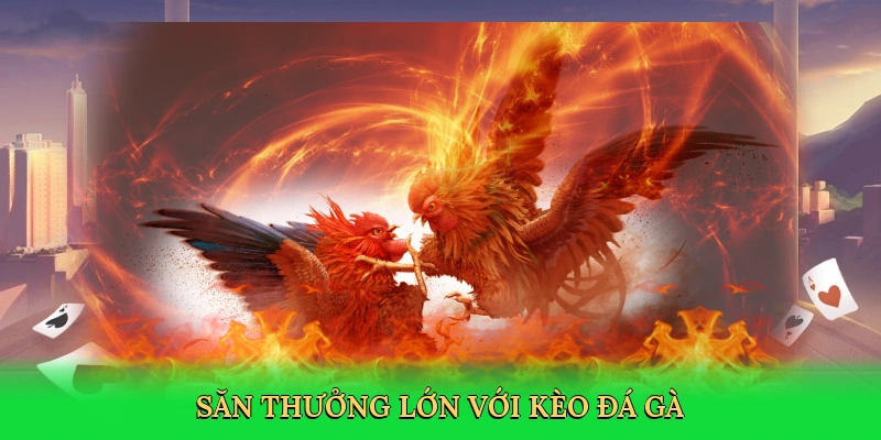 san-thuong-lon-voi-keo-da-ga-3