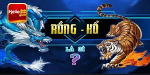 Rồng hổ là gì?